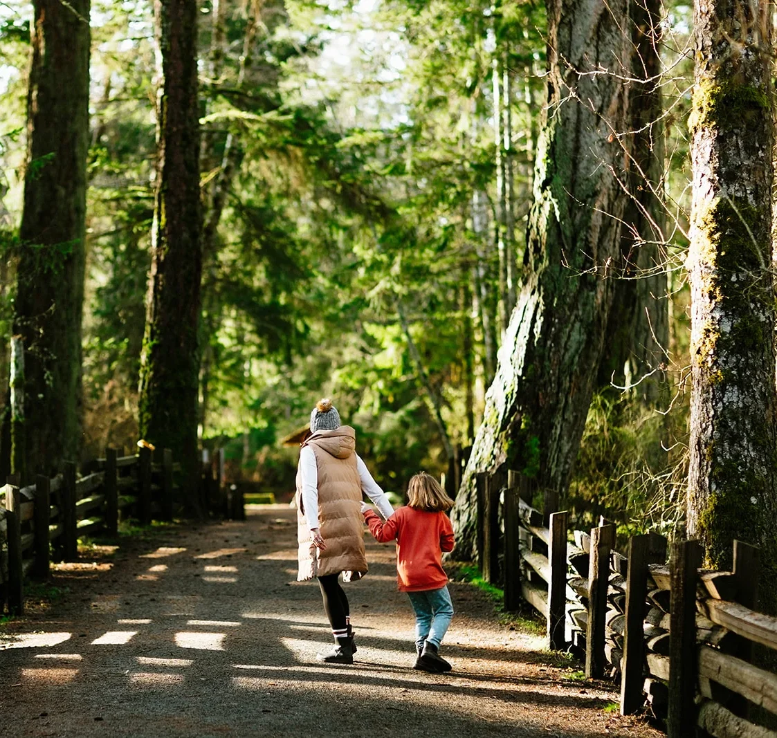 KidStart-hiking An adult and a child hold hands while walking along a sunlit forest path lined with tall trees and wooden fences.