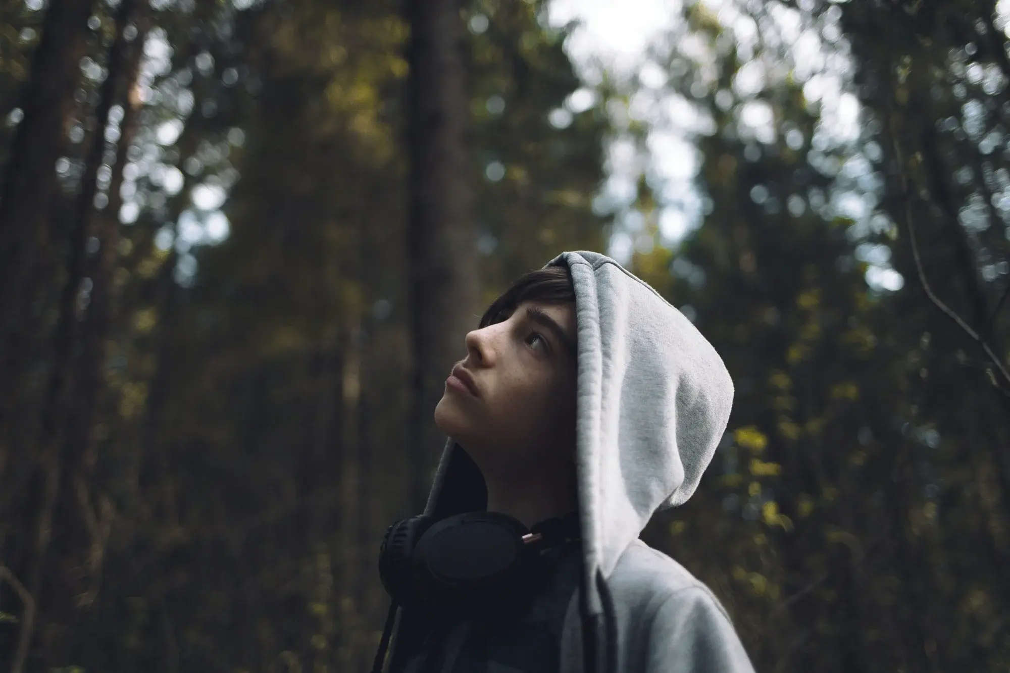 Young person wearing a gray hoodie and headphones around their neck, looking upward thoughtfully while standing in a forest with tall trees and dappled light filtering through the leaves in the background