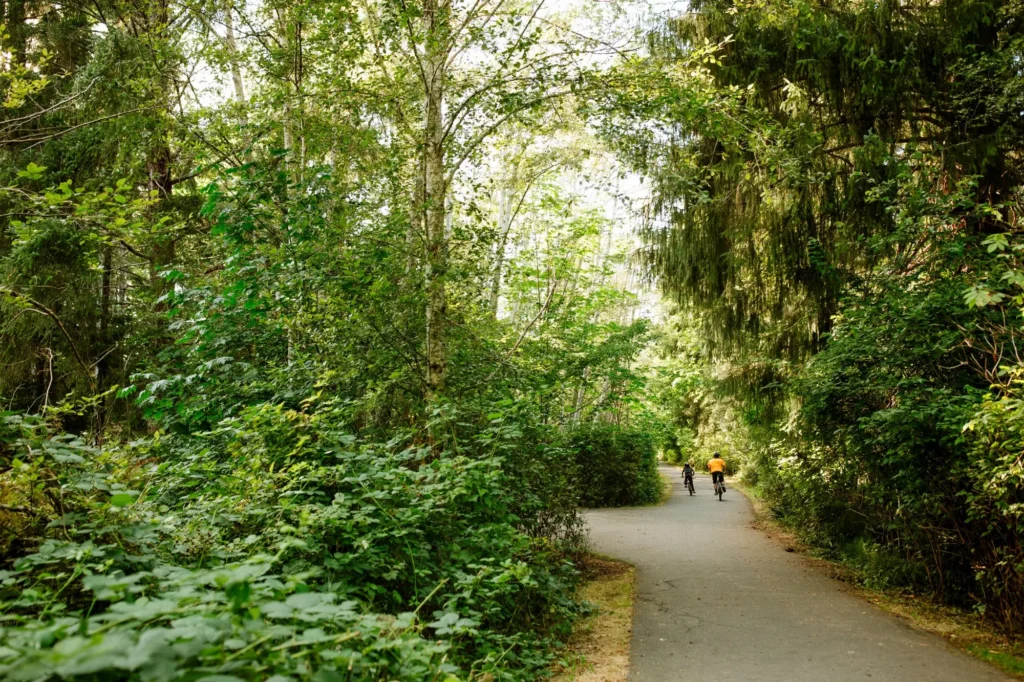 Two cyclists ride away from the camera along a winding paved trail through a lush, sun-dappled green forest, with trees forming a natural canopy overhead.